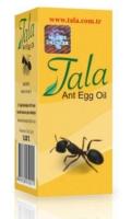Tala Ant Egg Oil Online Shopping in Pakistan Low Price