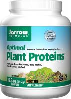 Optimal Plant Proteins, Supports Gastroinestinal Health by Jarrow Formulas - 545 g